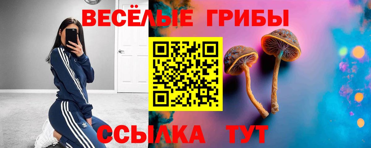 Галлюциногенные грибы ЛСД Рославль